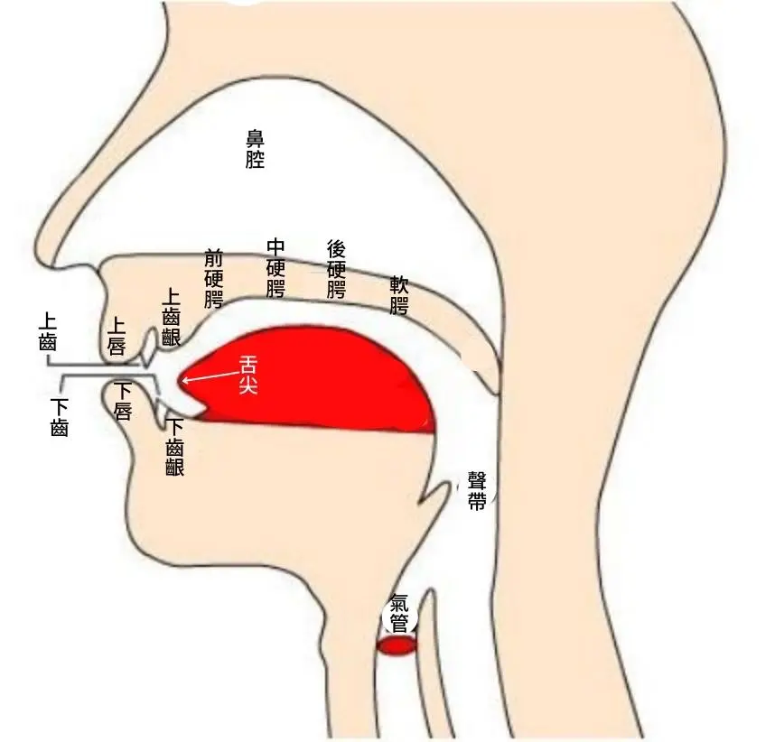 印度英文發音位置